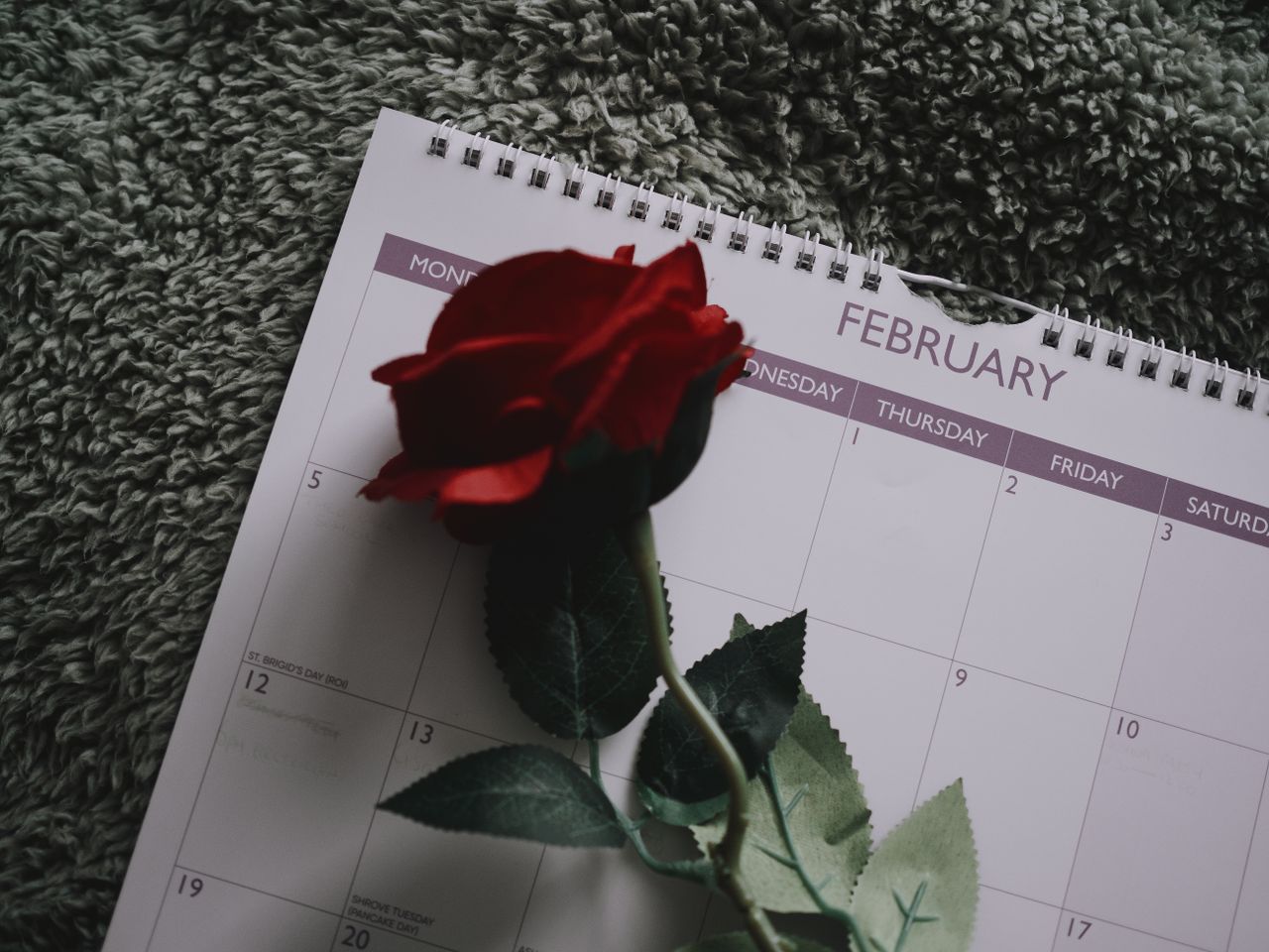 A red rose rests on a February calendar, symbolizing love and Valentine's Day.